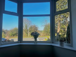 Lounge View- click for photo gallery